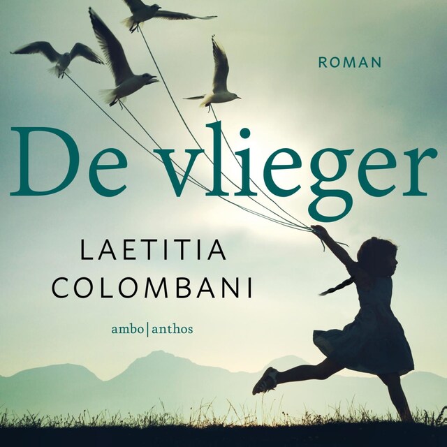 Book cover for De vlieger