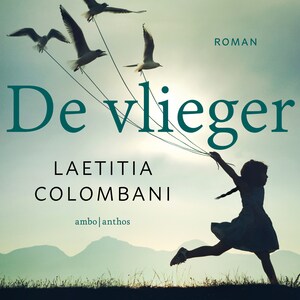 De vlieger - luisterboek