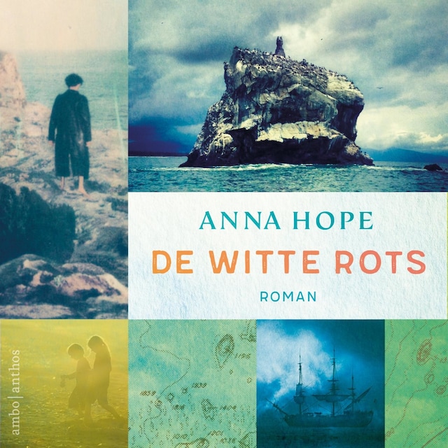 Book cover for De witte rots