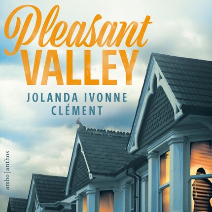 Pleasant Valley bookCoverFor