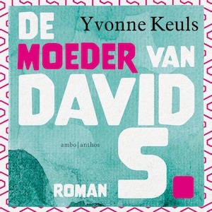 De moeder van David S. - luisterboek