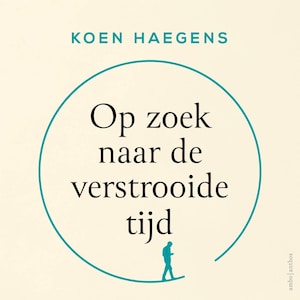 Op zoek naar de verstrooide tijd - luisterboek