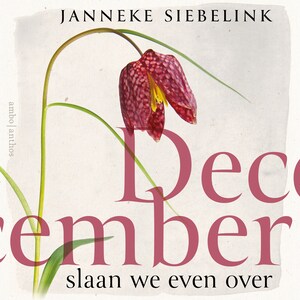 December slaan we even over - luisterboek