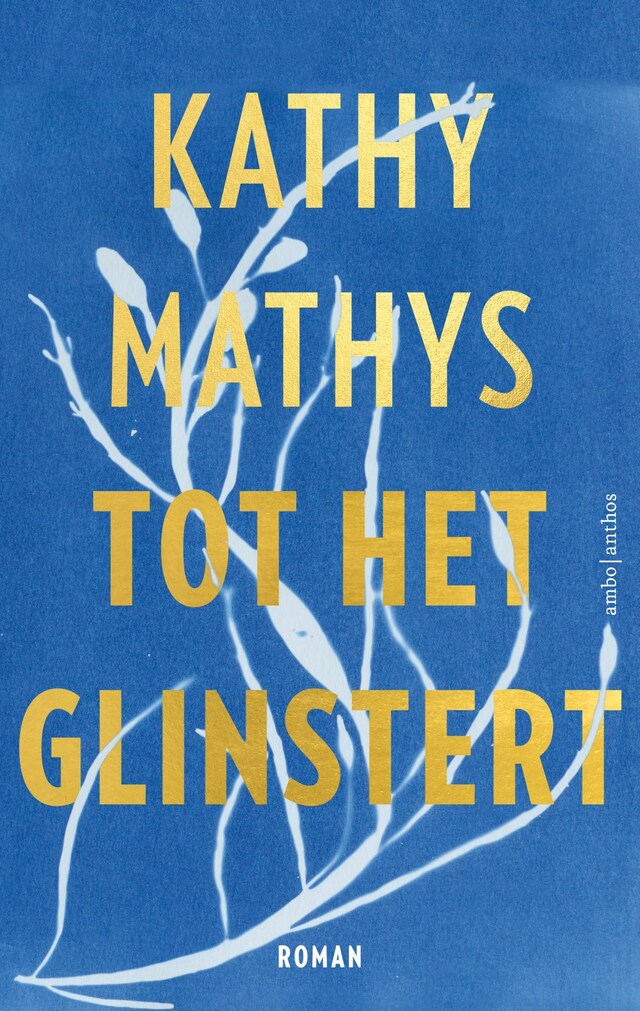 Buchcover für Tot het glinstert