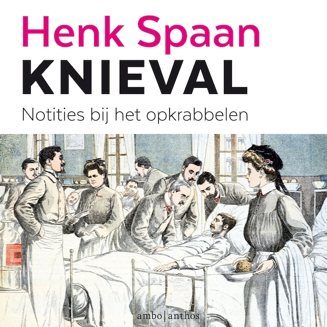 Boekomslag van Knieval