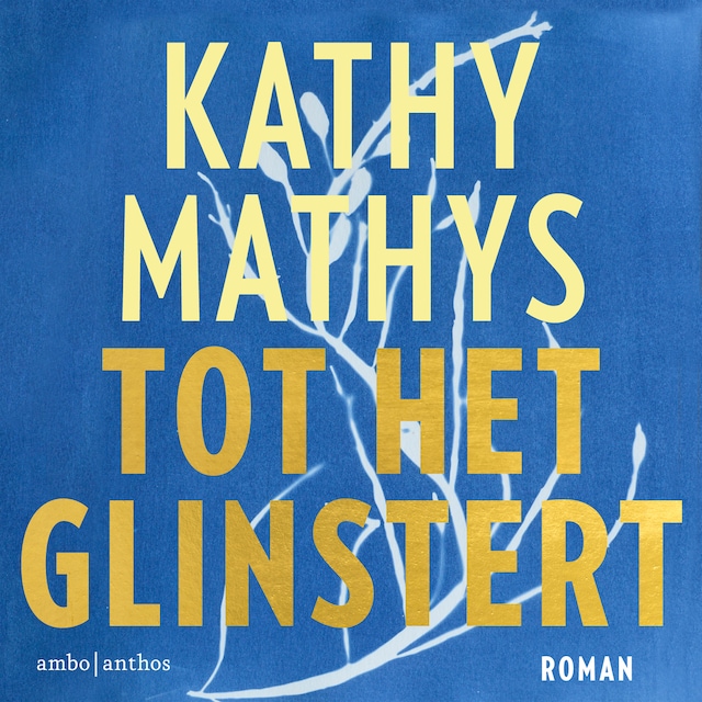 Book cover for Tot het glinstert