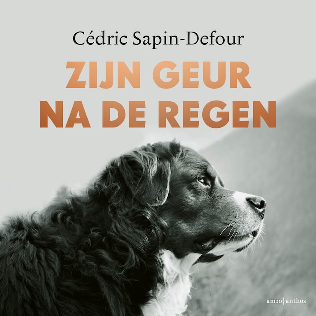 Book cover for Zijn geur na de regen