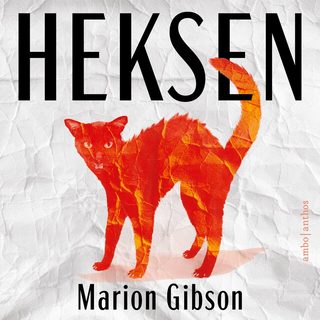 Portada de libro para Heksen