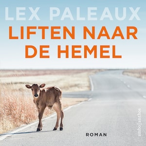 Liften naar de hemel - luisterboek