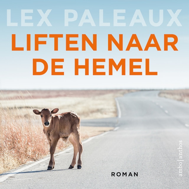 Boekomslag van Liften naar de hemel