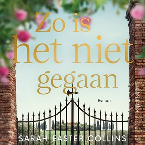 Zo is het niet gegaan - luisterboek