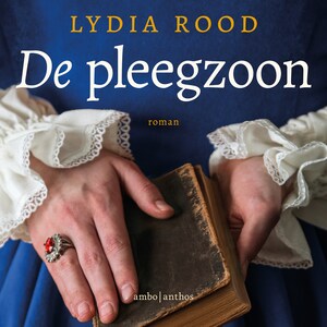 De pleegzoon - luisterboek