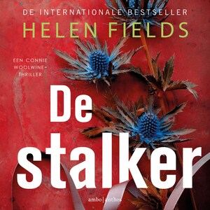 De stalker - luisterboek