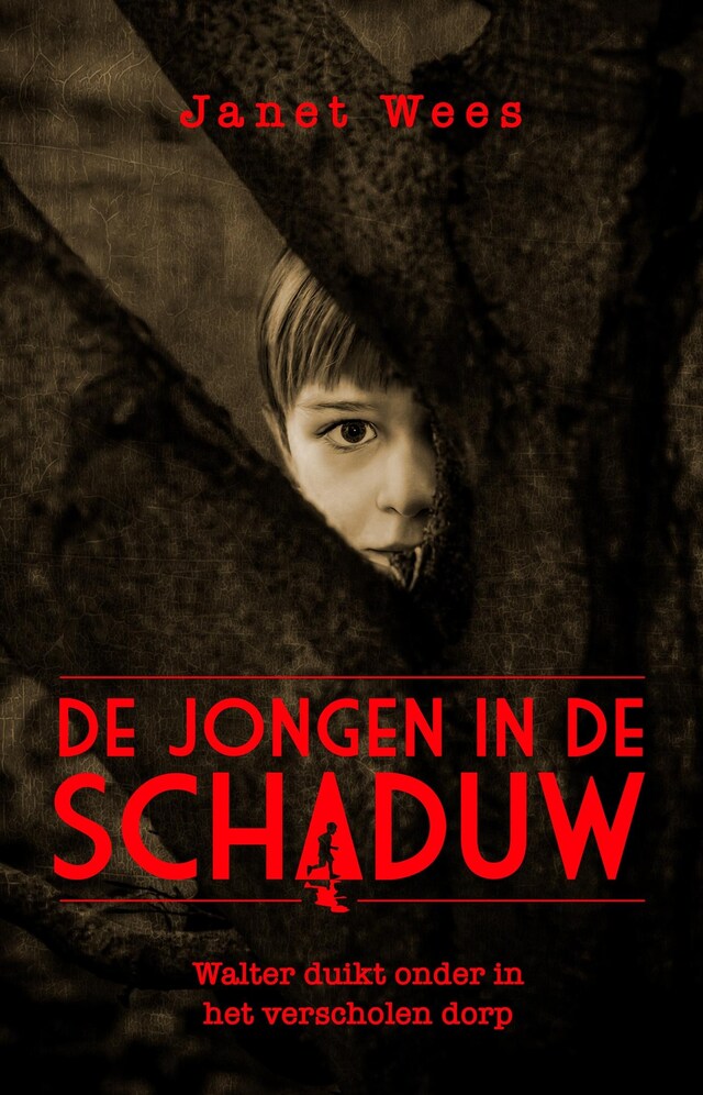 Book cover for De jongen in de schaduw