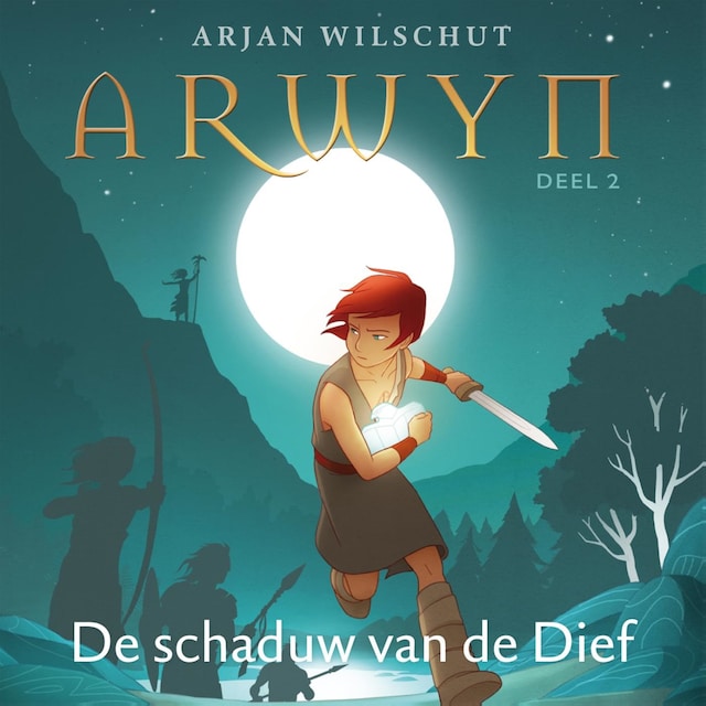 Book cover for De schaduw van de Dief