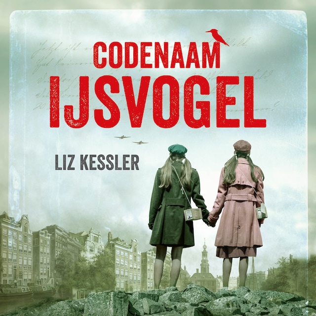 Book cover for Codenaam IJsvogel