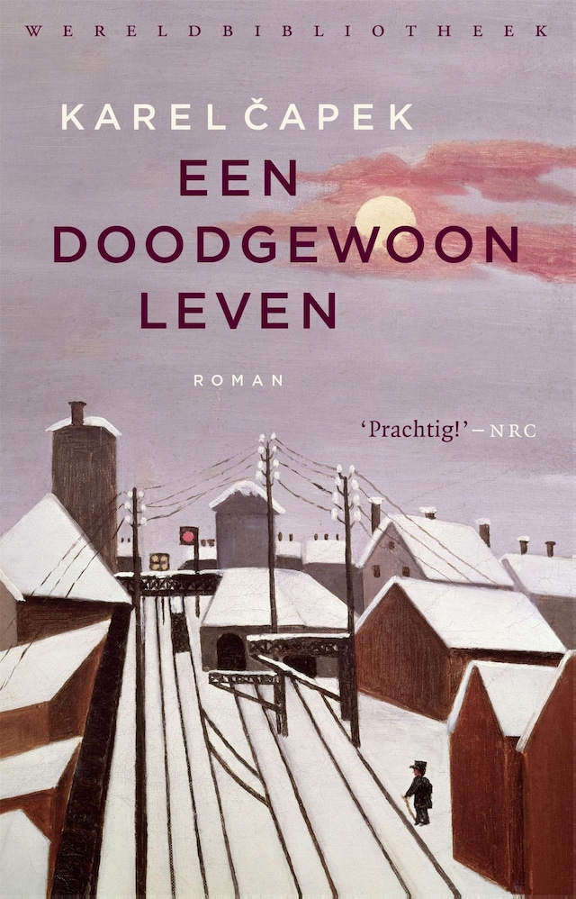 Book cover for Een doodgewoon leven