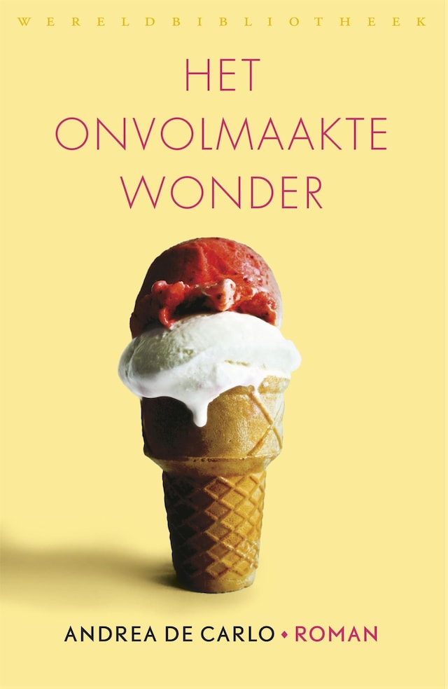 Book cover for Het onvolmaakte wonder