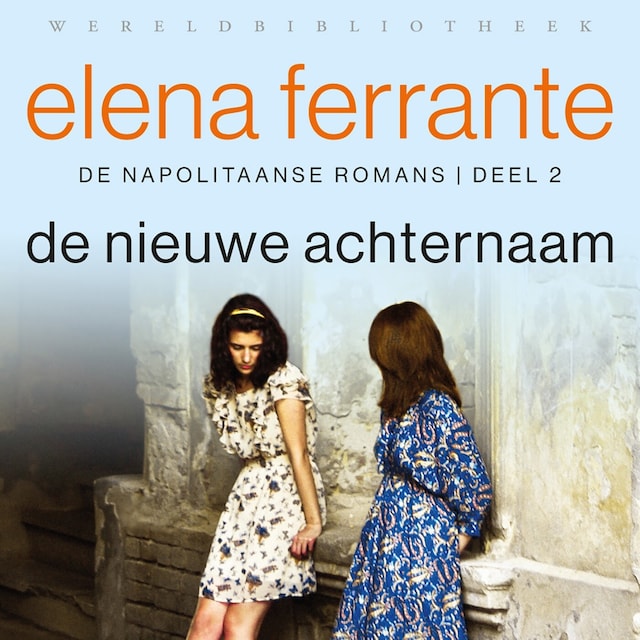 Book cover for De nieuwe achternaam