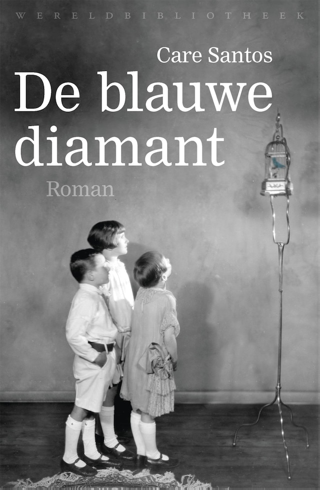 Book cover for De blauwe diamant