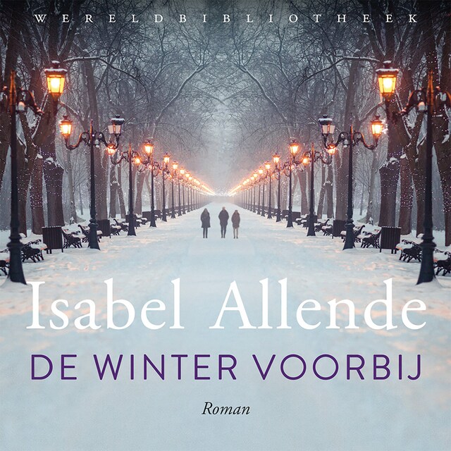 Book cover for De winter voorbij