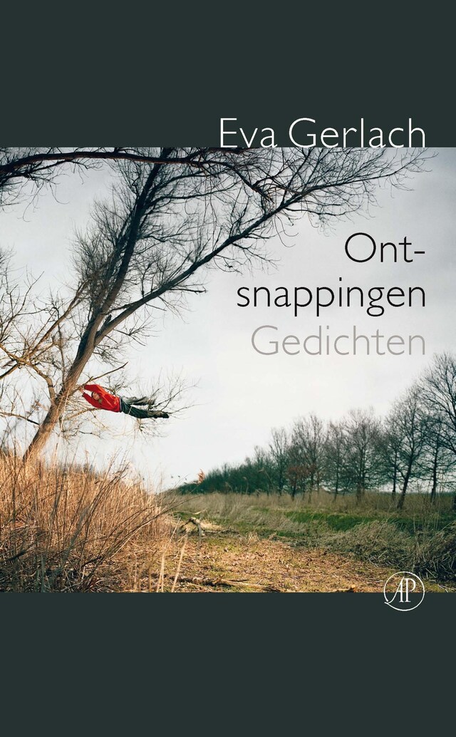 Book cover for Ontsnappingen