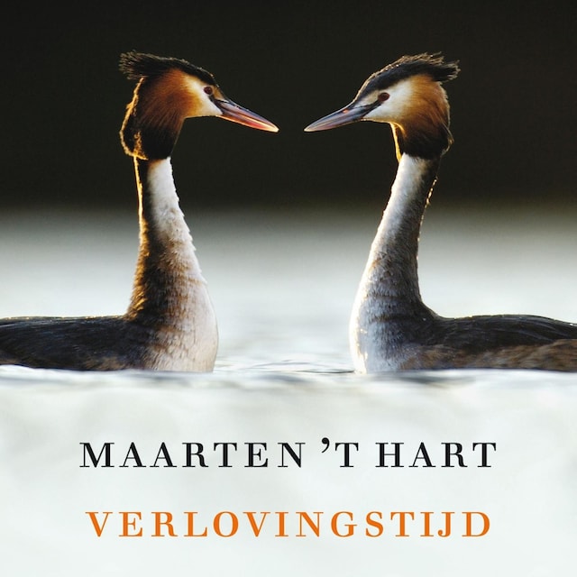 Book cover for Verlovingstijd