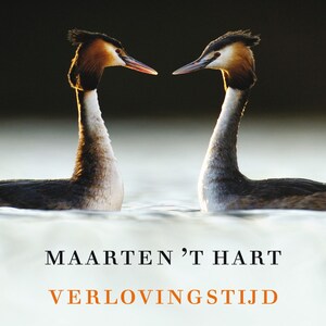 Verlovingstijd - luisterboek