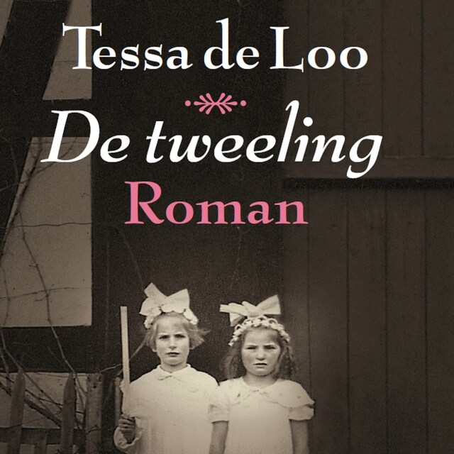 Book cover for De tweeling