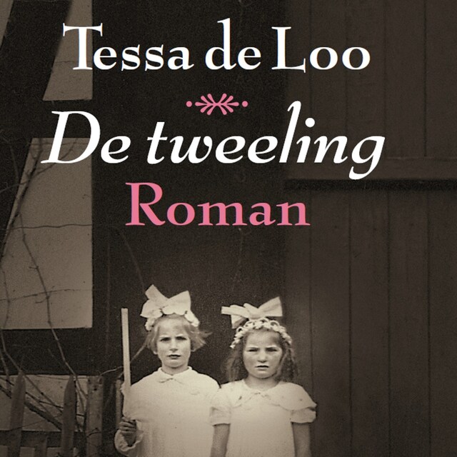 Couverture de livre pour De tweeling