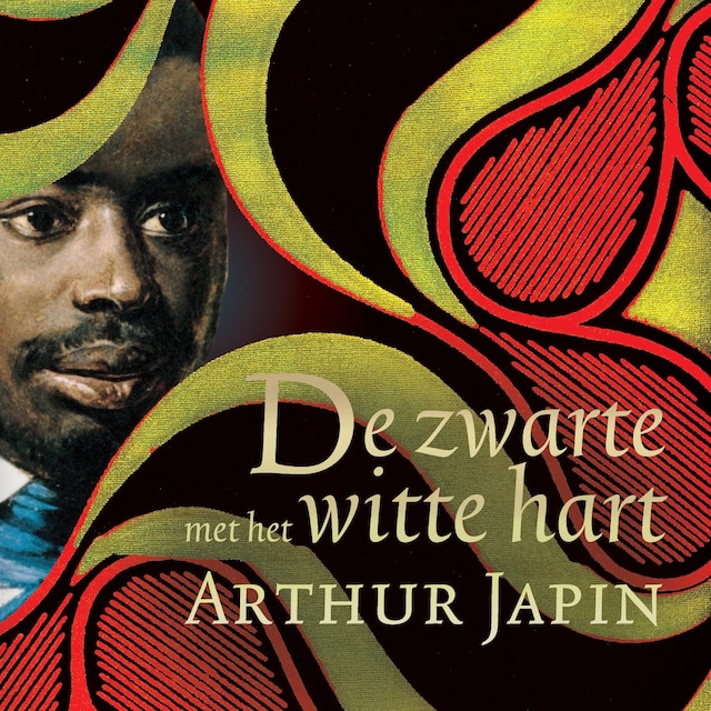 Couverture de livre pour De zwarte met het witte hart