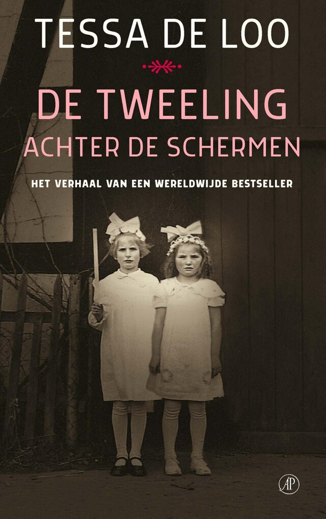 Book cover for De tweeling achter de schermen