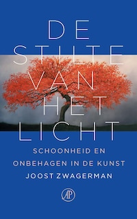 De stilte van het licht