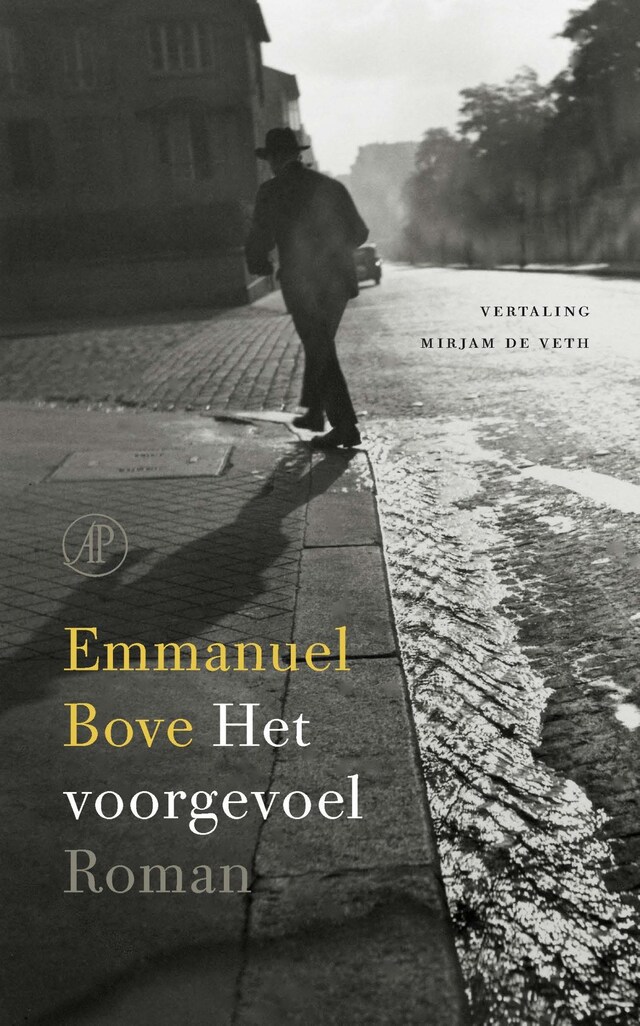 Book cover for Het voorgevoel