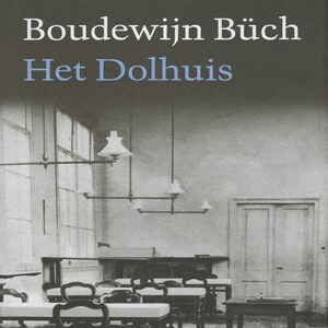 Het dolhuis - luisterboek