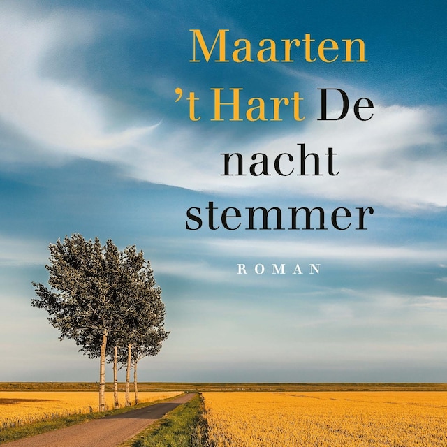 Book cover for De nachtstemmer