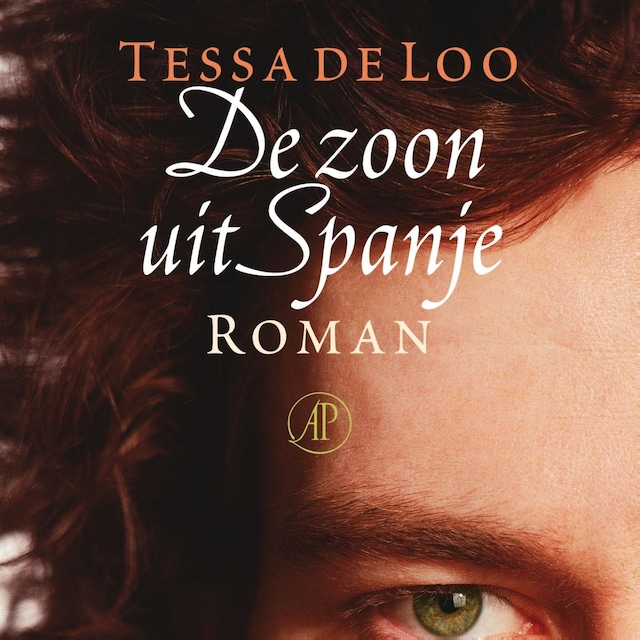 Book cover for De zoon uit Spanje
