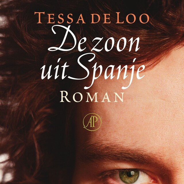 Book cover for De zoon uit Spanje