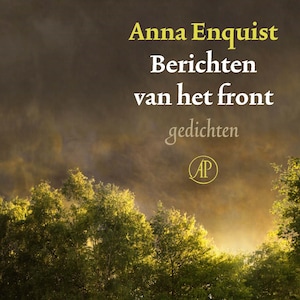Berichten van het front - luisterboek