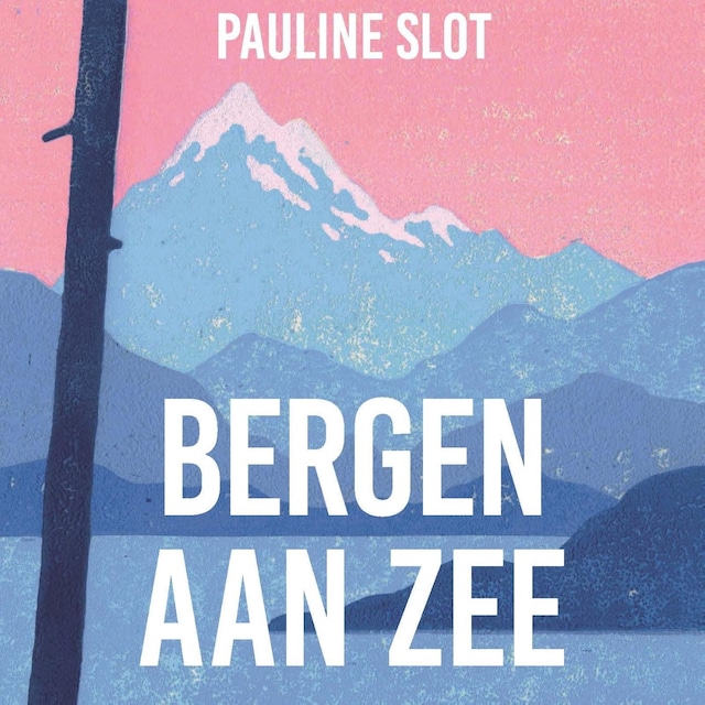 Book cover for Bergen aan zee