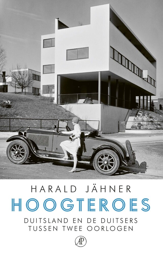 Book cover for Hoogteroes