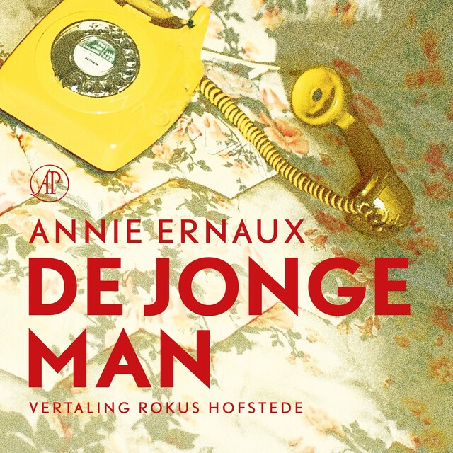 Book cover for De jongeman