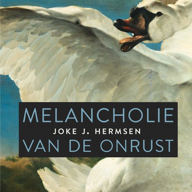 Copertina del libro per Melancholie van de onrust