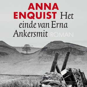 Het einde van Erna Ankersmit - luisterboek