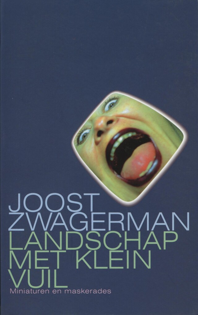 Book cover for Landschap met klein vuil