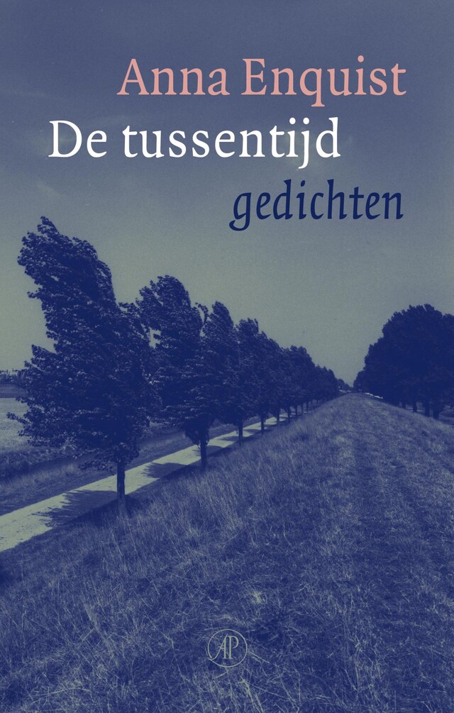 Book cover for De tussentijd