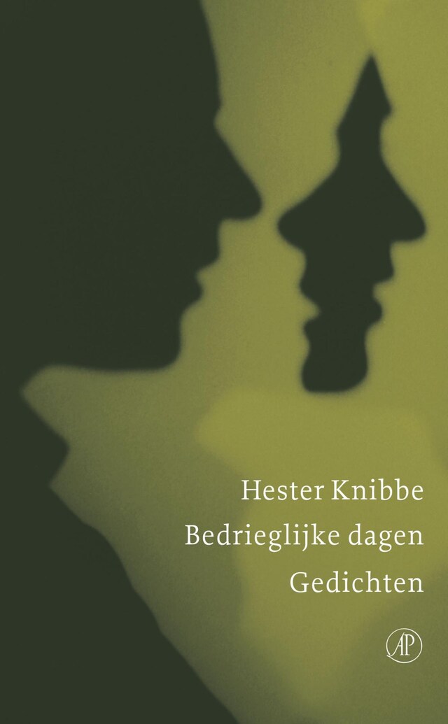 Buchcover für Bedrieglijke dagen