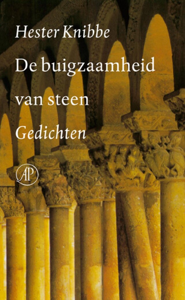 Boekomslag van De buigzaamheid van steen