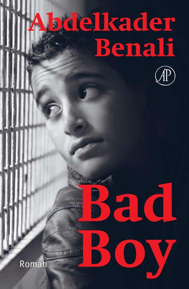 Book cover for Bad Boy