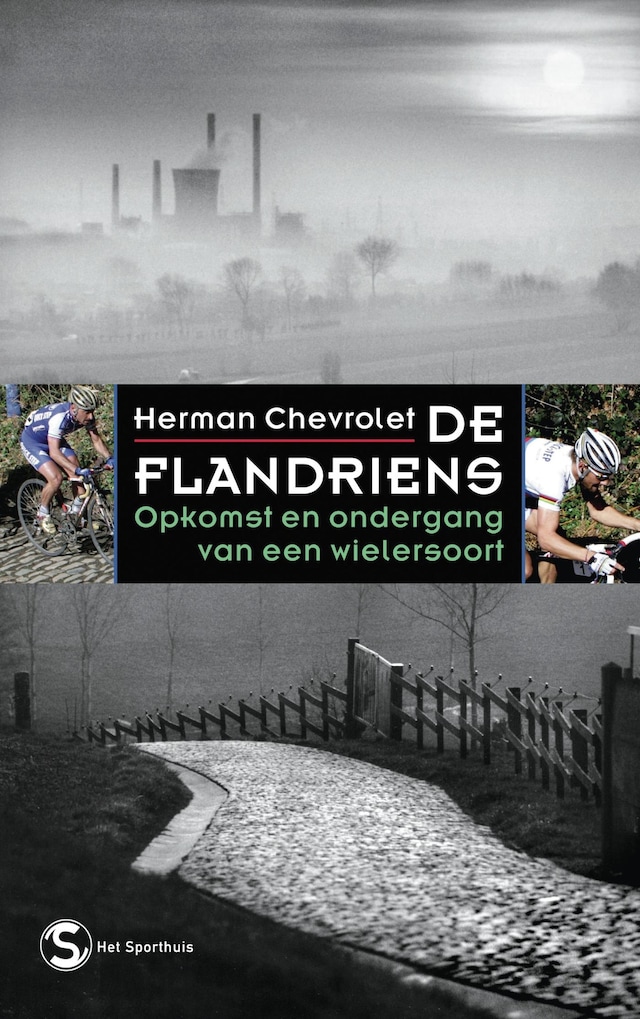 Boekomslag van De Flandriens